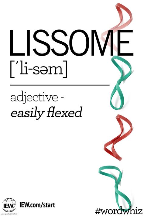 Lissome Adjectives Ballerina Moves Words