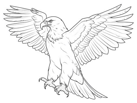 Eagle Drawing For Kids To Color - Coloring Page