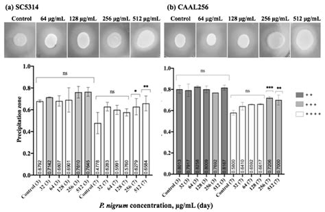 Jof Free Full Text Evaluation Of Anti Candida Potential Of Piper