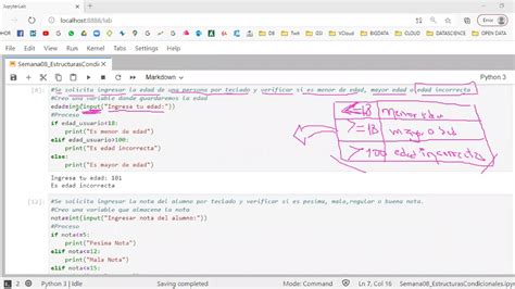 Estructuras Condicionales Anidadas En Python Youtube