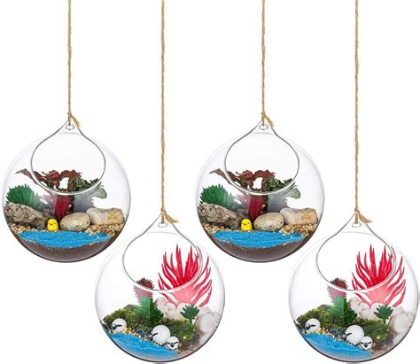 Glasseam Terrarium en Verre Suspendu 6 Pièces Grande Ouverture Vase