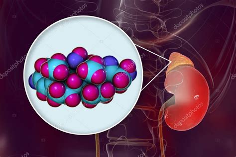 Molécula De Hormona Cortisol Y Glándula Suprarrenal Ilustración 3d El