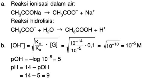 Suatu Garam Normal Dengan Rumus Ch Coona Tuliskan Reaksi Hidrolisis