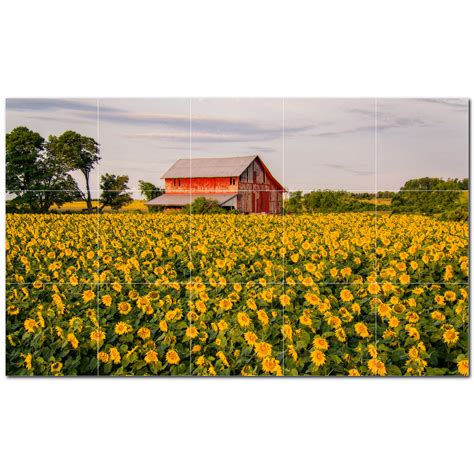 Picture Farm Photo 8 X 8 Satin Ceramic Decorative Mural Wayfair