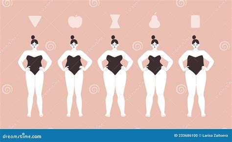 Curvy Women Of Different Body Types Isolated Vector Illustration Of