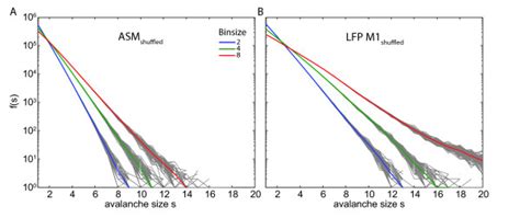 Avalanche Size Distributions F S For Shuffled Data Avalanche Size