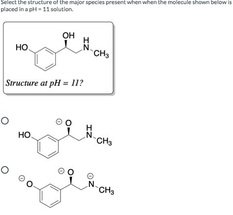 Solved Select The Structure Of The Major Species Present Chegg