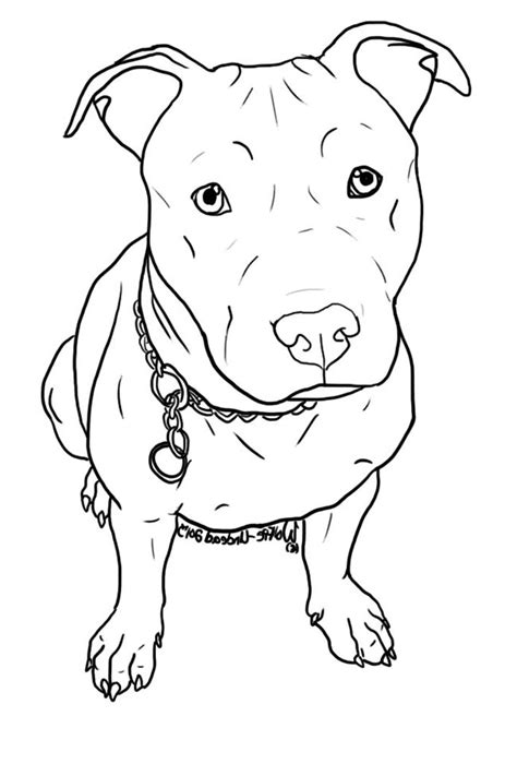 Desenhos De Pitbull Para Imprimir E Colorir Pintar