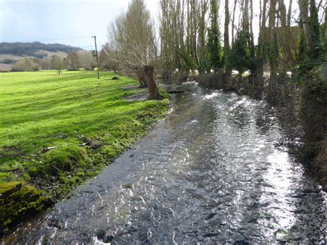 River Darent At Castle Lavender Farm Marathon Geograph Britain And