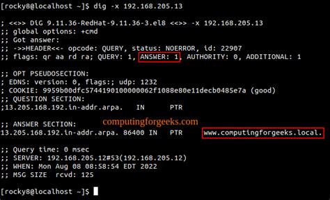 Configurar Master Bind Dns En Rocky Linux Almalinux