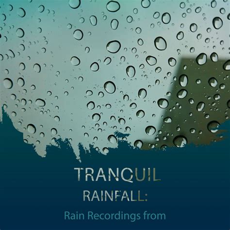 Zzz Tranquil Rainfall Rain Recordings From The Hillside Zzz Album By