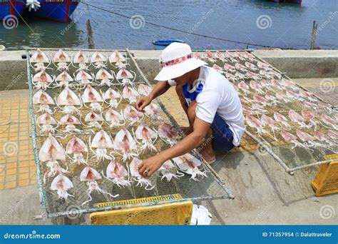 Pescados De Sequía Del Pescador En Luz Del Sol Imagen de archivo