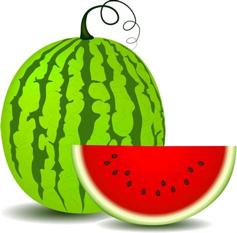 Watermelon graphic vectors free download graphic art designs