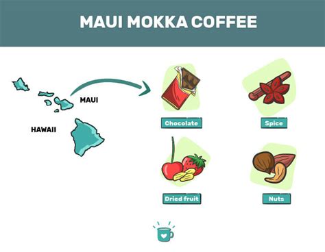 Mokka Coffee Variety: What Is Mokka Coffee?