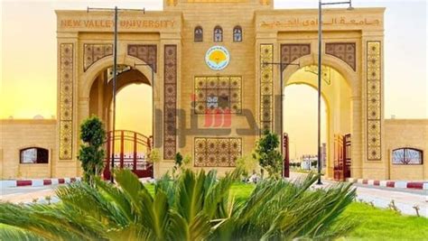 جامعة الوادي الجديد تنهي استعدادها للعام الجامعي الجديد