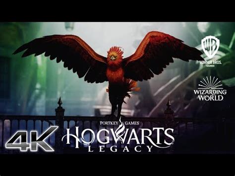 Hogwarts Legacy Harry Potter El Videojuego Gameplay 4K Next Gen