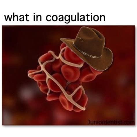 what in tarnation meme | Funny, Bones funny, Funny me