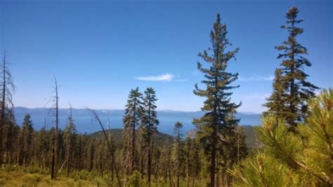 5 Beautiful Hiking Trail Systems Near Lake Tahoe Sierra Blog