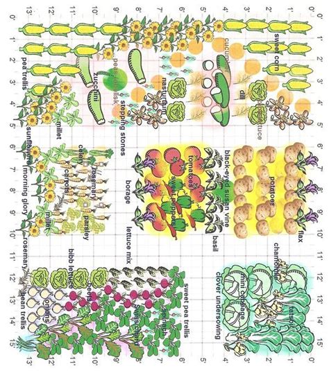 Vegetable Garden Layout With Companion Planting Combination All About