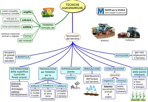 Mappe Per La Scuola Nuove Mappe