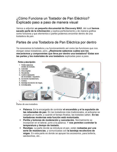 Cómo Funciona un Tostador de Pan Eléctrico Cómo Funciona un Tostador