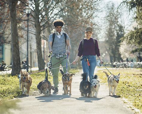 El Fascinante Mundo Del T Cnico En Turismo En Qu Consiste Esta