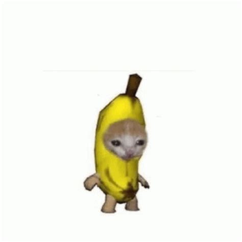 Banana Cat Banana Banana Cat Banana Cat Descubrir Y Compartir Gifs