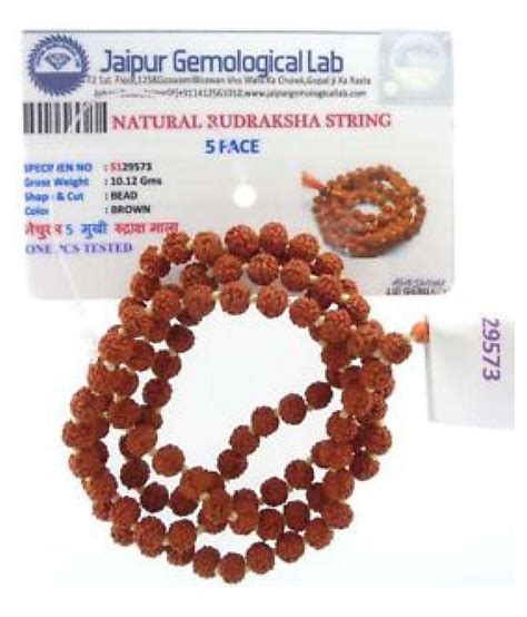 Brown Original Rudraksha Mala With Lab Certificate Spiritual Use Japa