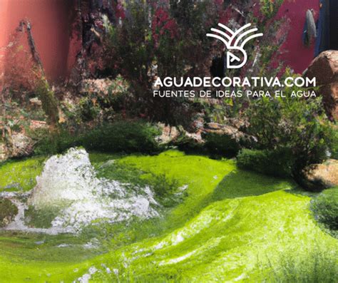 Décorer un étang avec des buses de fontaine de jardin Fuentes de Jardín