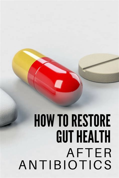 How To Restore Gut Health After Antibiotics