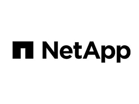 NetApp Apuesta Por La Inteligencia Artificial En Su Estrategia Para