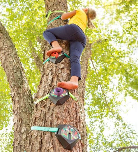 Help Kids Climb To New Heights With A Set Of Tree Friendly Tree