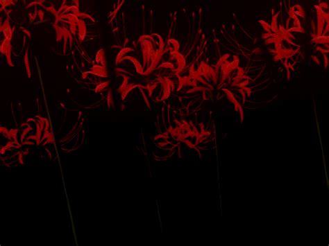 27 Anime Red Spider Lily Wallpaper Anime Top Wallpaper