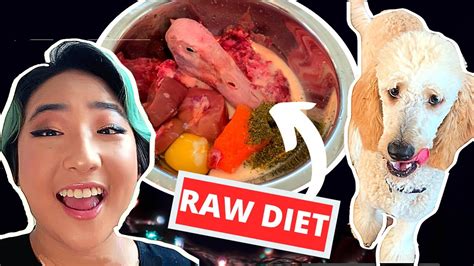 How I Feed My Puppy Raw Meat Raw Food For Dogs Barf Diet Youtube