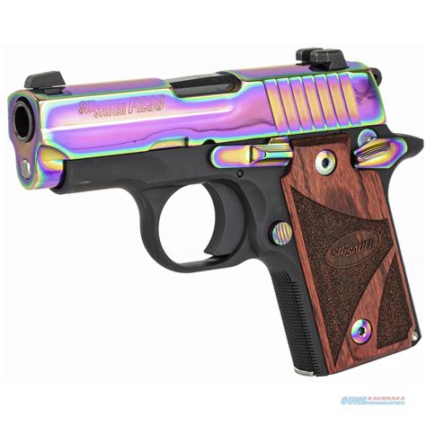 New Sig Sauer P238 380acp Rainbow For Sale At