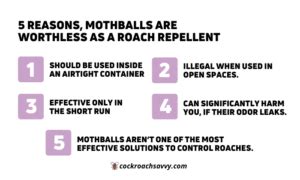 Do Mothballs Repel Roaches Yes Only When Used This Way