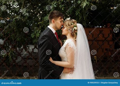 Handsome Groom Kissing Beautiful Blonde Bride Newlywed Couple H Stock Image Image Of Bride