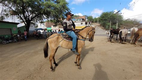 Feira De Cavalos Em Bezerros Pe 18 11 2023 YouTube