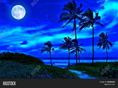 Romantic Tropical Image & Photo (Free Trial) | Bigstock