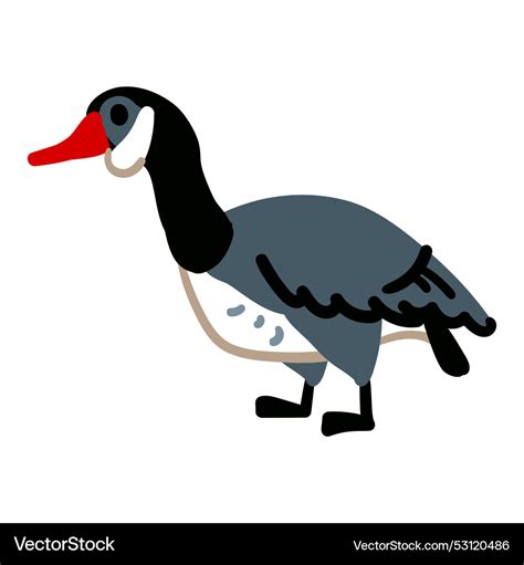mallard duck cartoon animal isolated royalty  vector