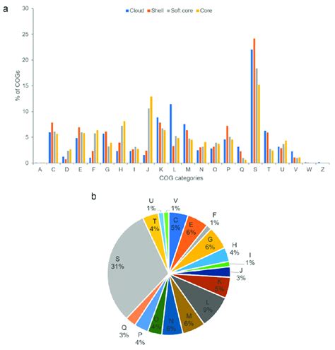 A Distribution Of COG Functional Categories For Cloud Shell Soft