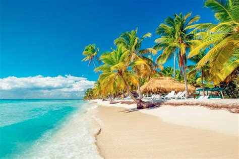 Excursión A Isla Saona Desde Punta Cana En Catamarán