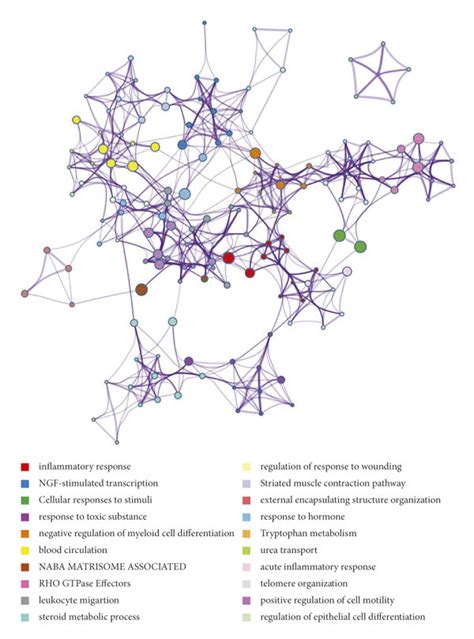 A Bar Graph Of Enriched Terms Across Input Gene Lists Colored By P