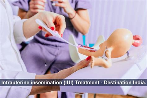 Intrauterine Insemination Iui Treatment Destination India Updated