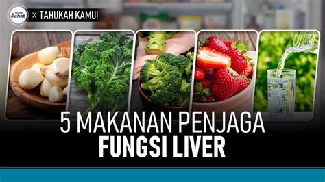 Cegah Penyakit Liver Ini Makanan Untuk Kesehatan Organ Hati Hidup