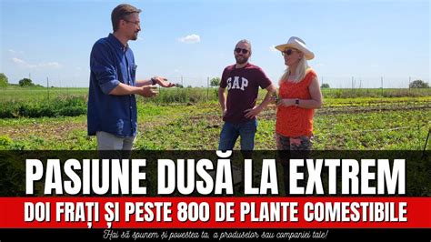 Pasiune Dus La Extrem Doi Fra I I Peste De Plante Comestibile