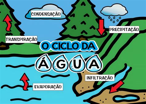 Resumo Sobre O Ciclo Da Agua 11