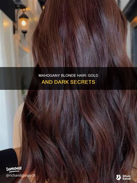 Mahogany Blonde Hair Gold And Dark Secrets ShunSalon