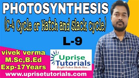 L 9 PHOTOSYNTHESIS C 4 Cycle Hatch And Slack Cycle YouTube