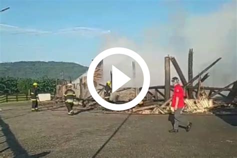 VÍDEO Cavalos morrem queimados após incêndio em rancho de Joinville